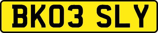 BK03SLY