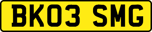 BK03SMG