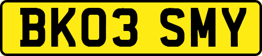 BK03SMY