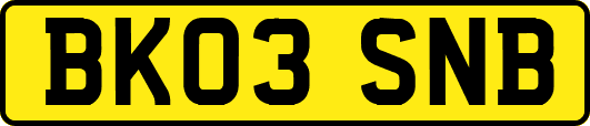 BK03SNB