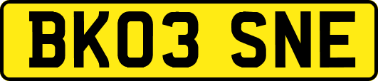 BK03SNE
