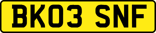 BK03SNF