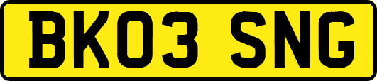 BK03SNG