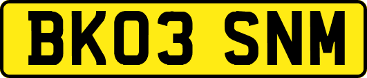 BK03SNM