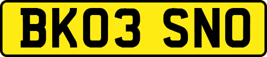 BK03SNO