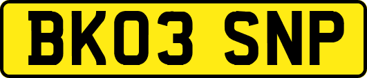 BK03SNP