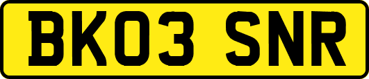BK03SNR