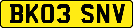 BK03SNV