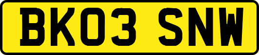 BK03SNW