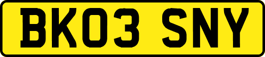 BK03SNY