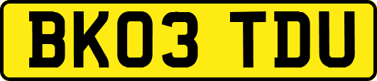 BK03TDU