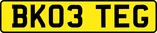 BK03TEG