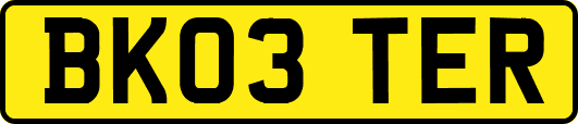 BK03TER