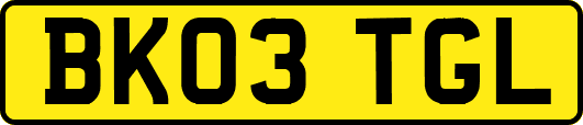 BK03TGL
