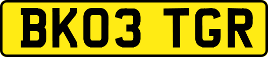 BK03TGR