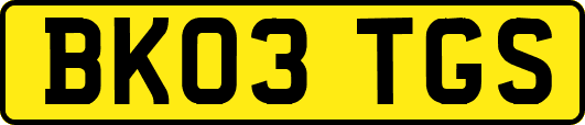BK03TGS