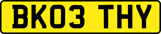 BK03THY
