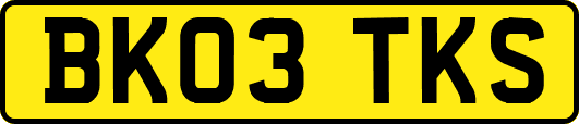 BK03TKS