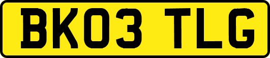 BK03TLG