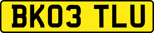 BK03TLU