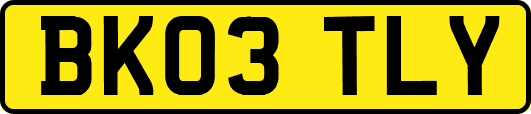 BK03TLY
