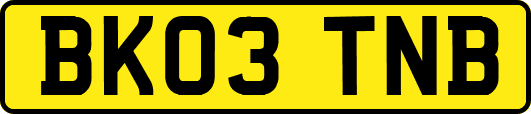 BK03TNB
