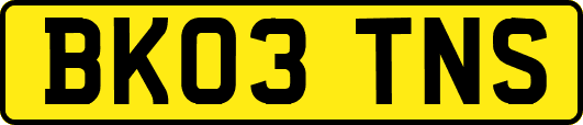 BK03TNS