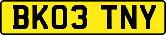 BK03TNY
