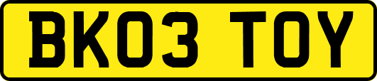 BK03TOY
