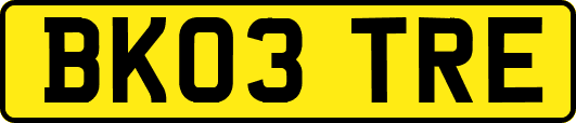 BK03TRE