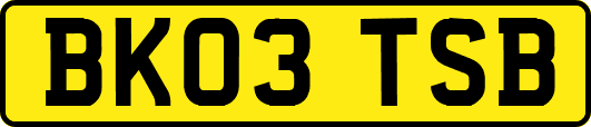 BK03TSB