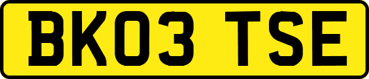 BK03TSE