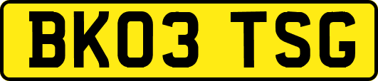 BK03TSG