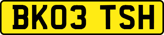 BK03TSH