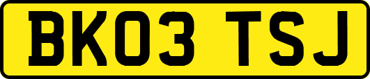 BK03TSJ