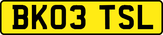BK03TSL