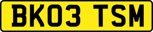 BK03TSM