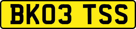 BK03TSS
