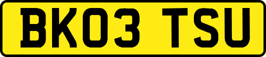 BK03TSU