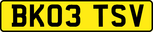 BK03TSV