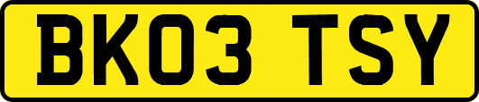 BK03TSY