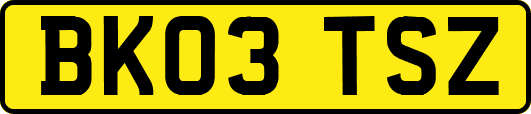 BK03TSZ
