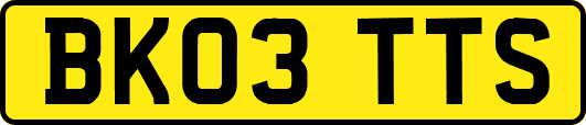 BK03TTS