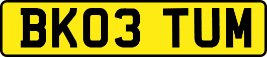 BK03TUM