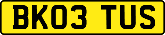 BK03TUS