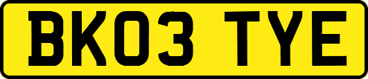 BK03TYE