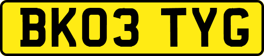 BK03TYG