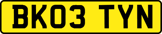 BK03TYN