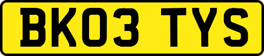 BK03TYS