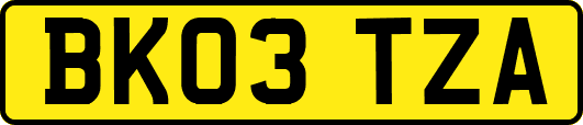BK03TZA
